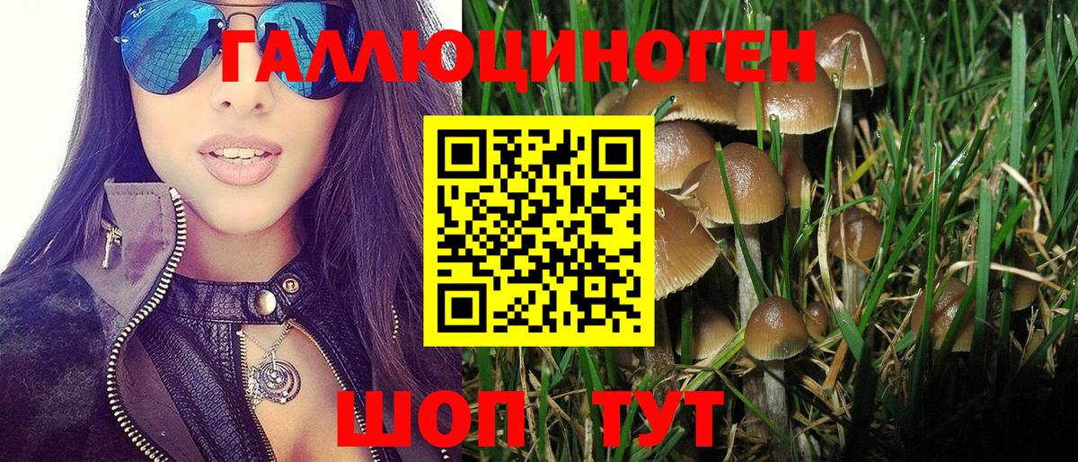 Псилоцибиновые грибы Magic Shrooms  Вход с VPN  Ейск 